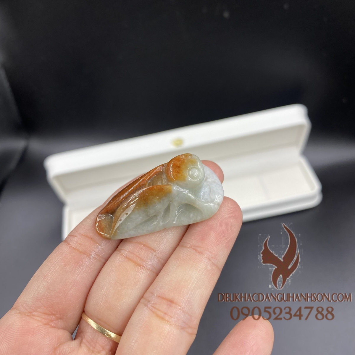 Ve sầu (Ngọc Thiền) cẩm thạch huyết (Mã sản phẩm: VS03)